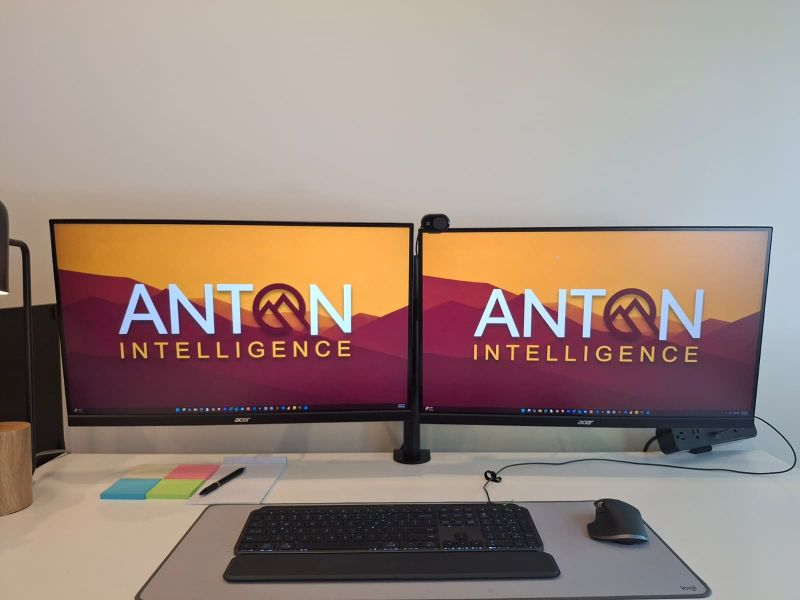Anton Intelligence Software Engineer